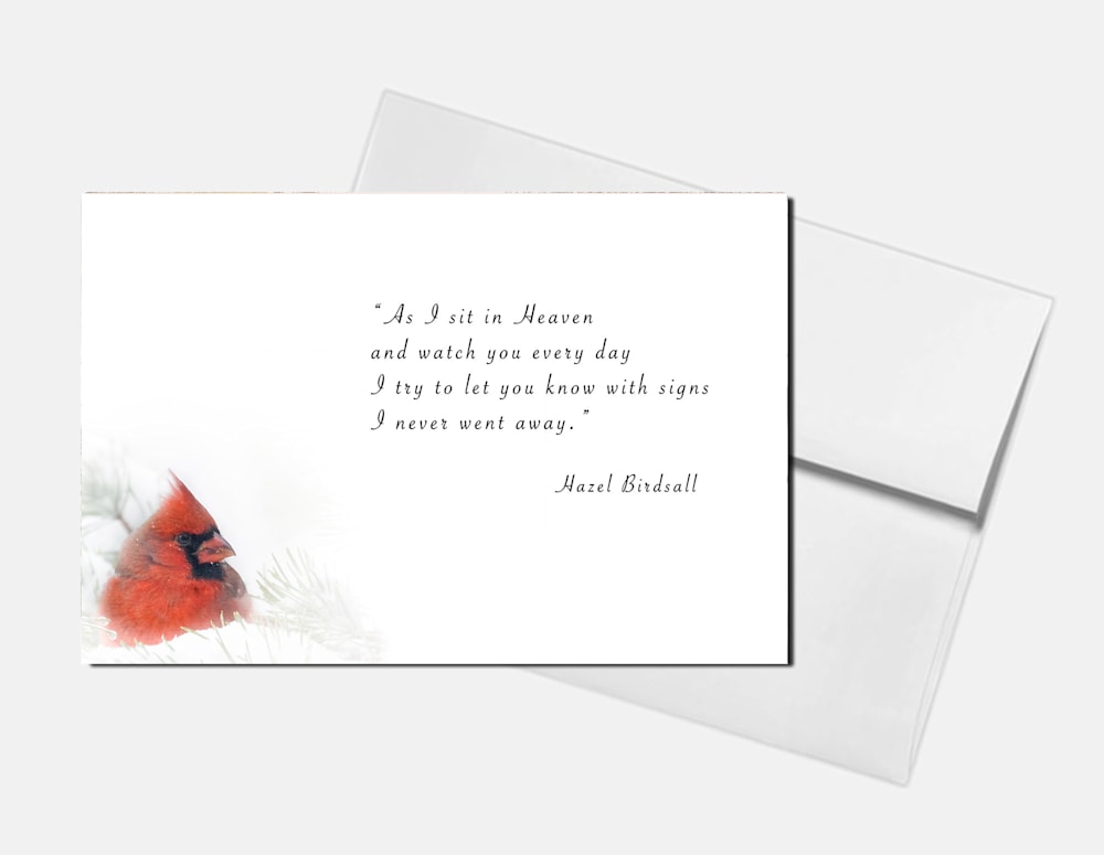 cardinal sign 1 card w envelope