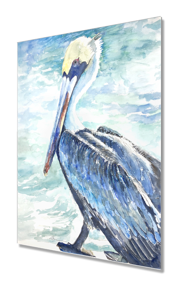 Pelican Pose 7