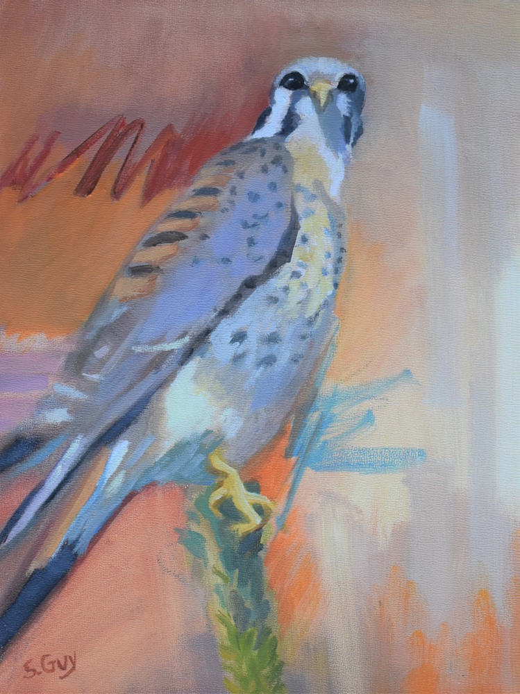 Kestral Colors