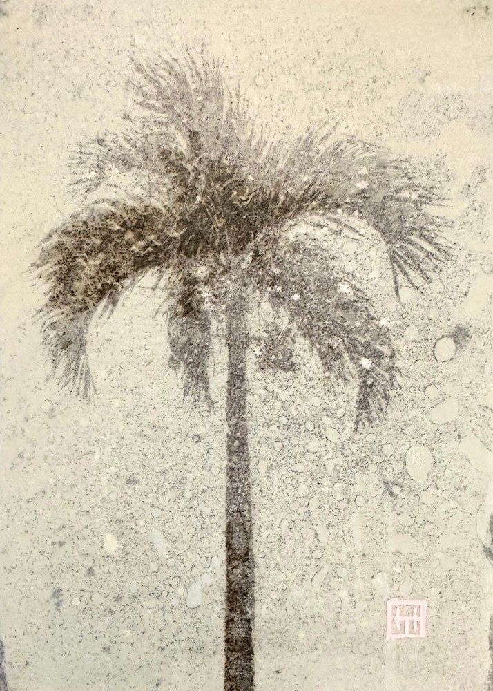Producing Palm Propagations Ivory