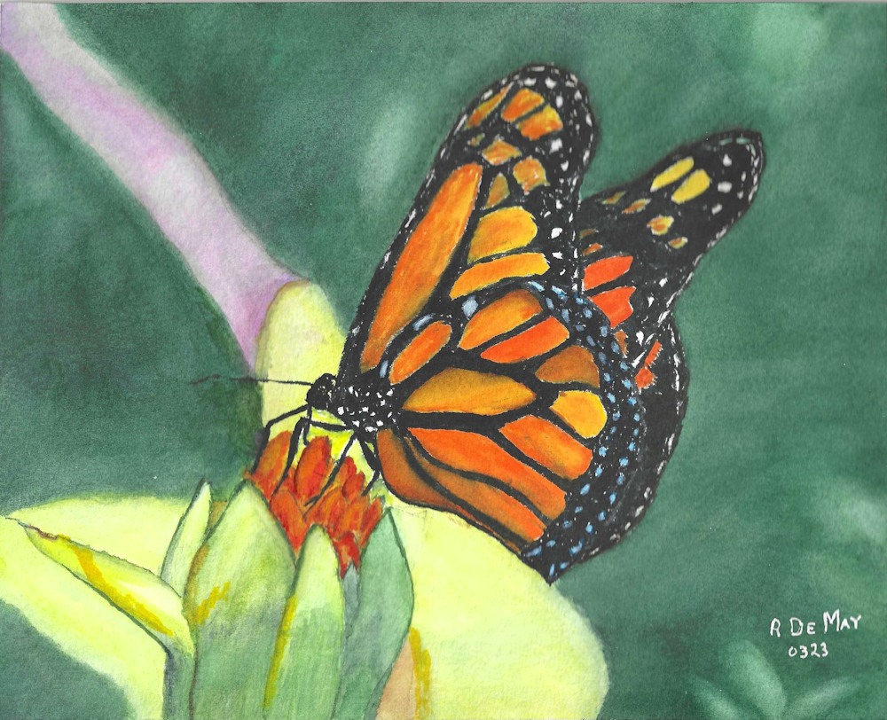 Monarch And Orange Bud