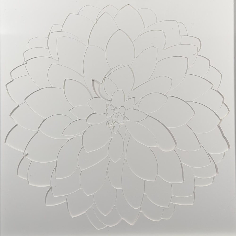 Dahlia 1   White