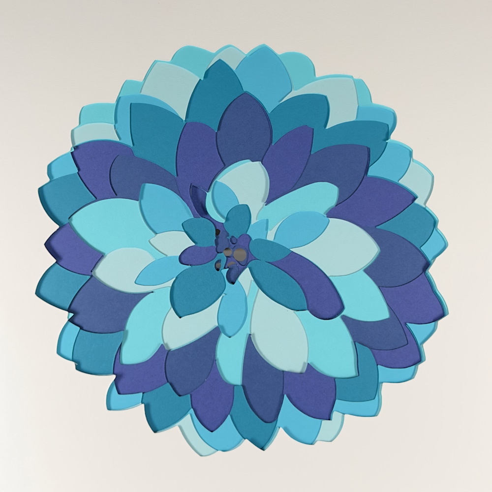 Dahlia 1   Blue