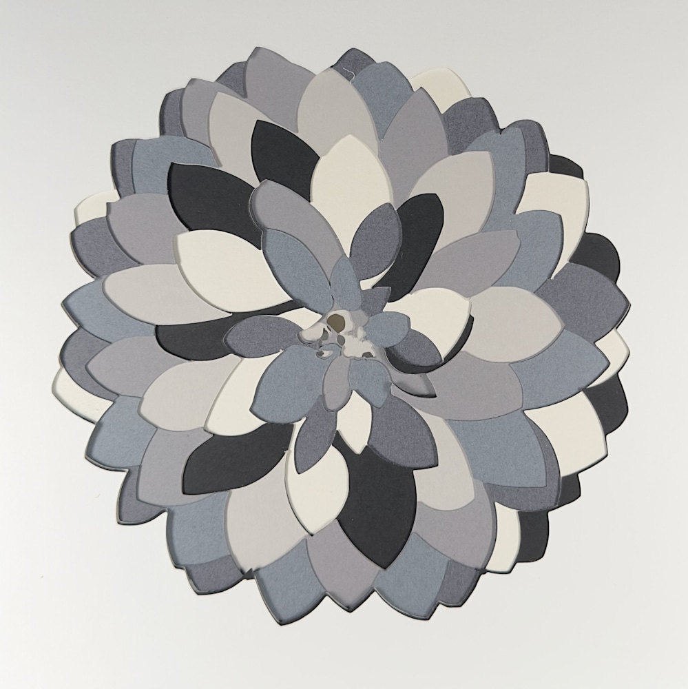 Dahlia 1   Grey