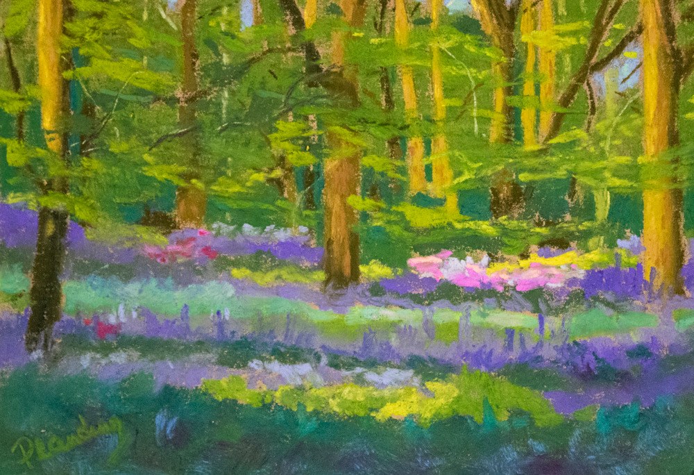 L E Sherwood Forest Bluebells Planding orig