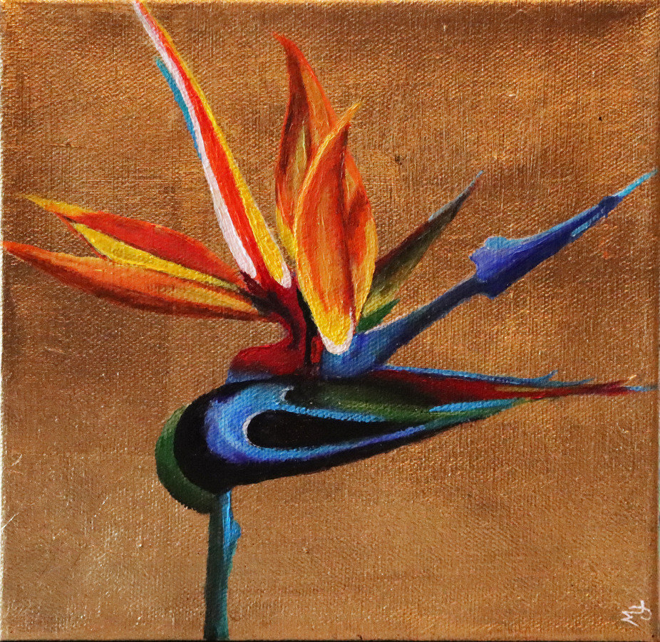 Birds Of Paridise 