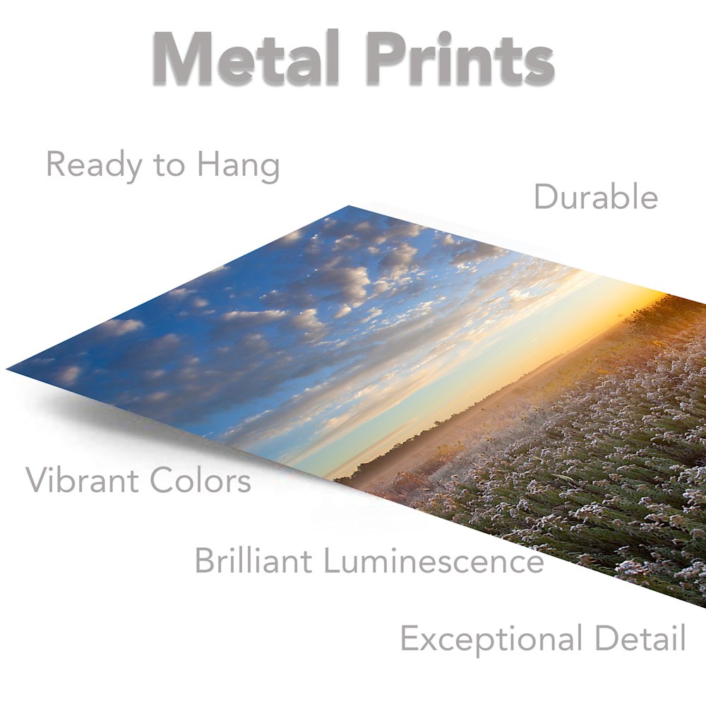 BV 1st frost vertical metal prints