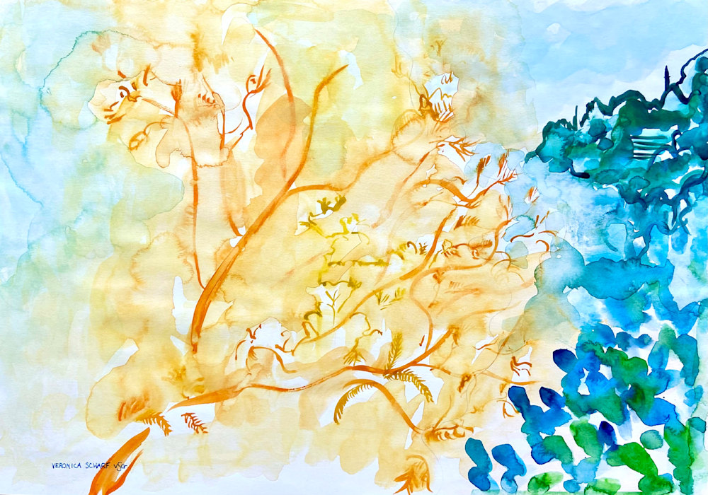 Veronica Scharf   Summer's Glow by Veronoca Scharf IMG 6870