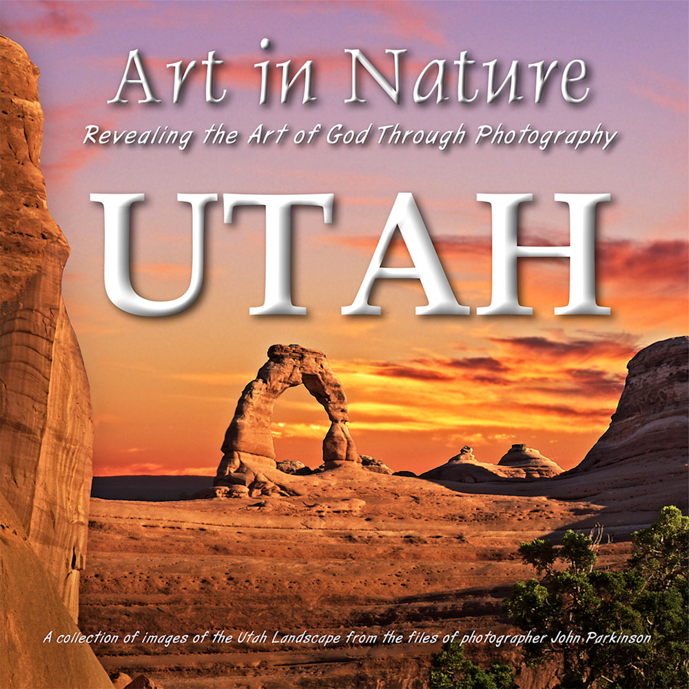 New Book Cover for site