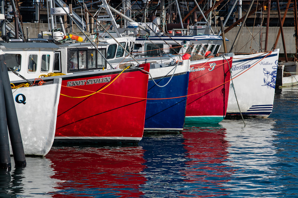 Scallop Boats Showing Their Colors Art Full Fathom Five Gallery