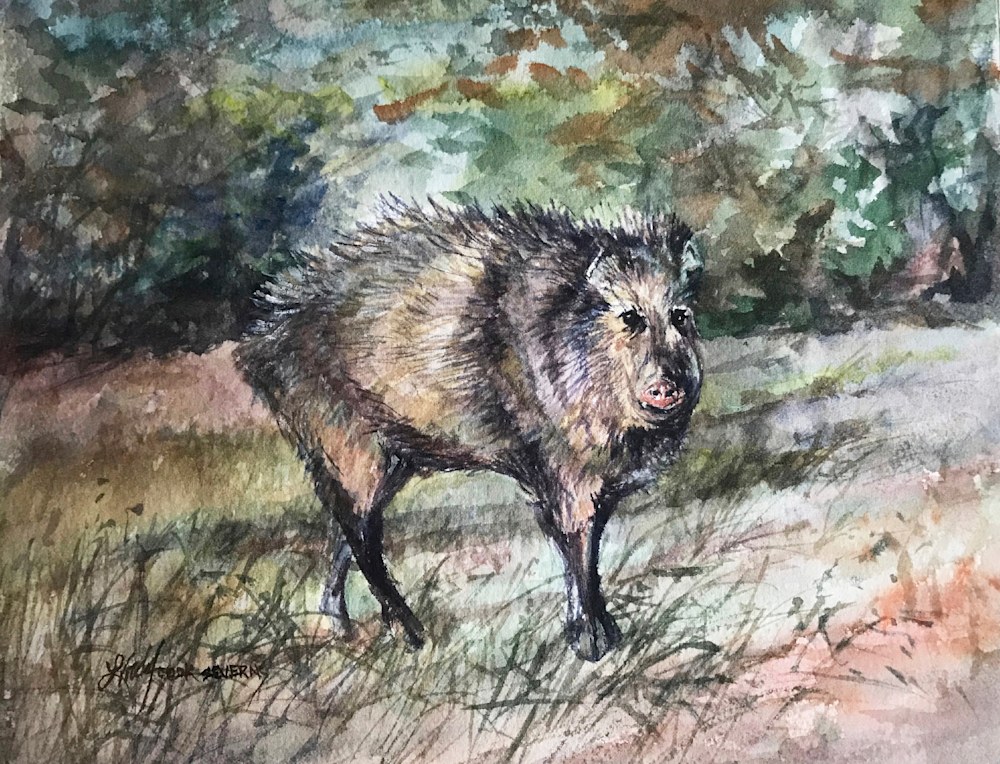 23j18  Javelina With An Attitude 8x10 watercolor Lindy Cook Severns Bay