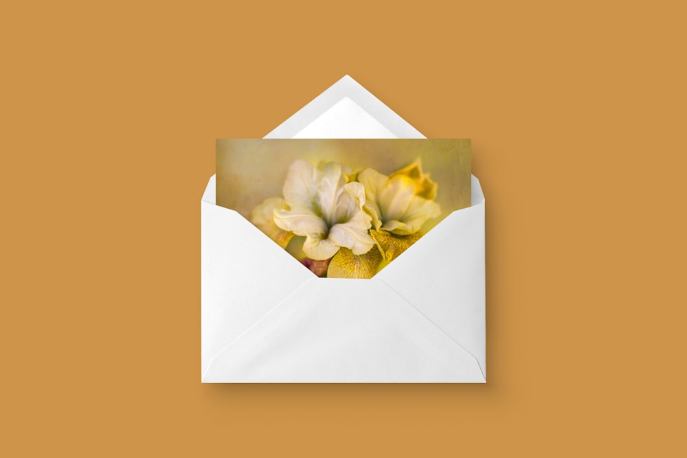 Yellow Iris with Envelope Mockup