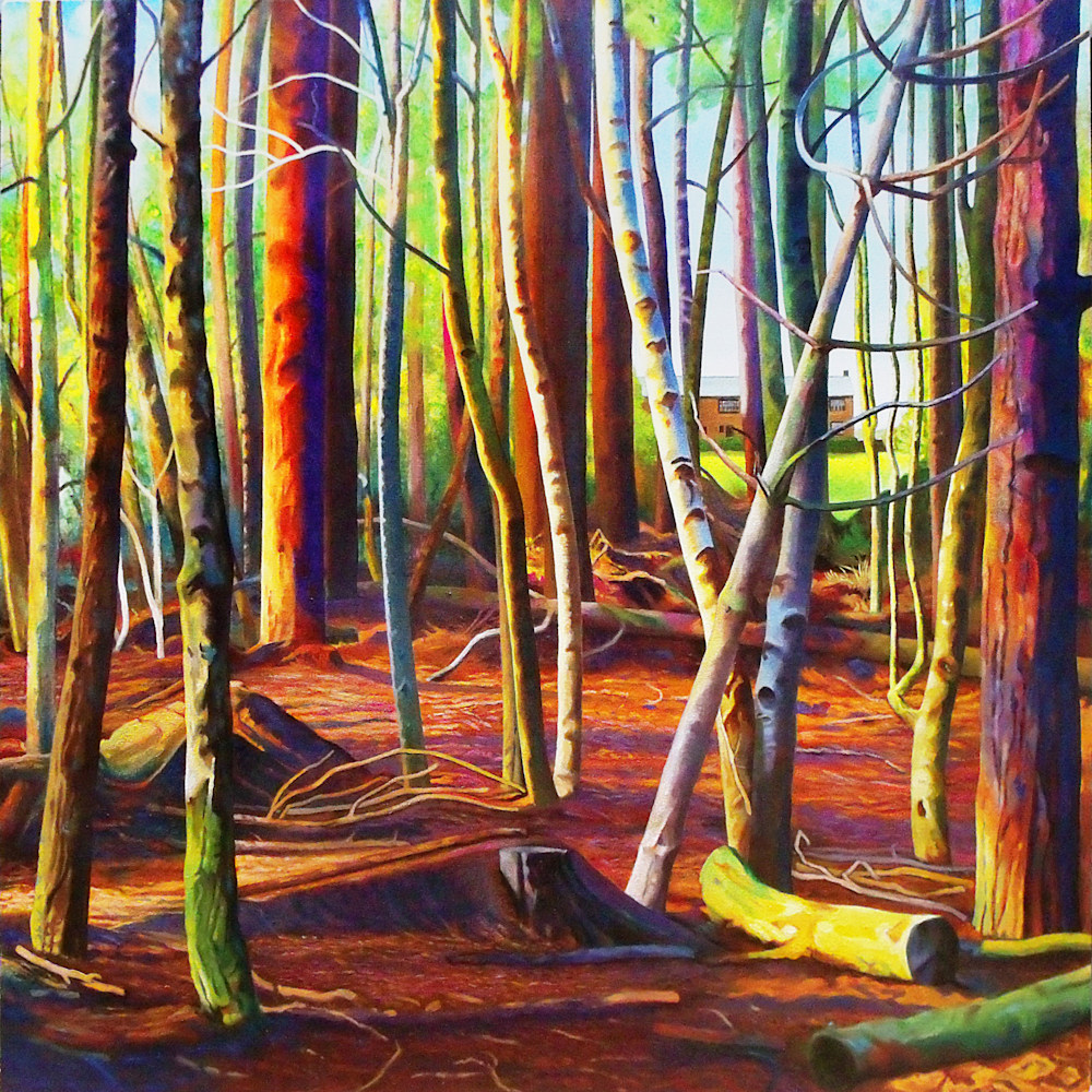 Recalling Delamere, 60 X 60 $4500