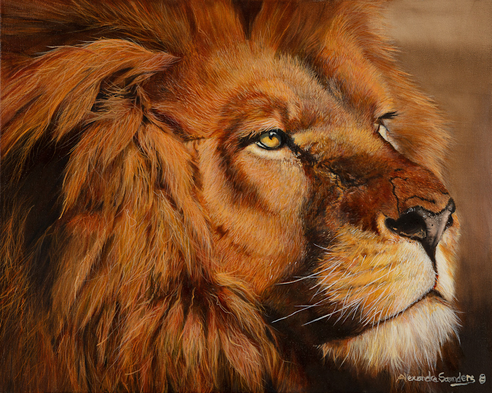 Alexandra Saunders   African Lion