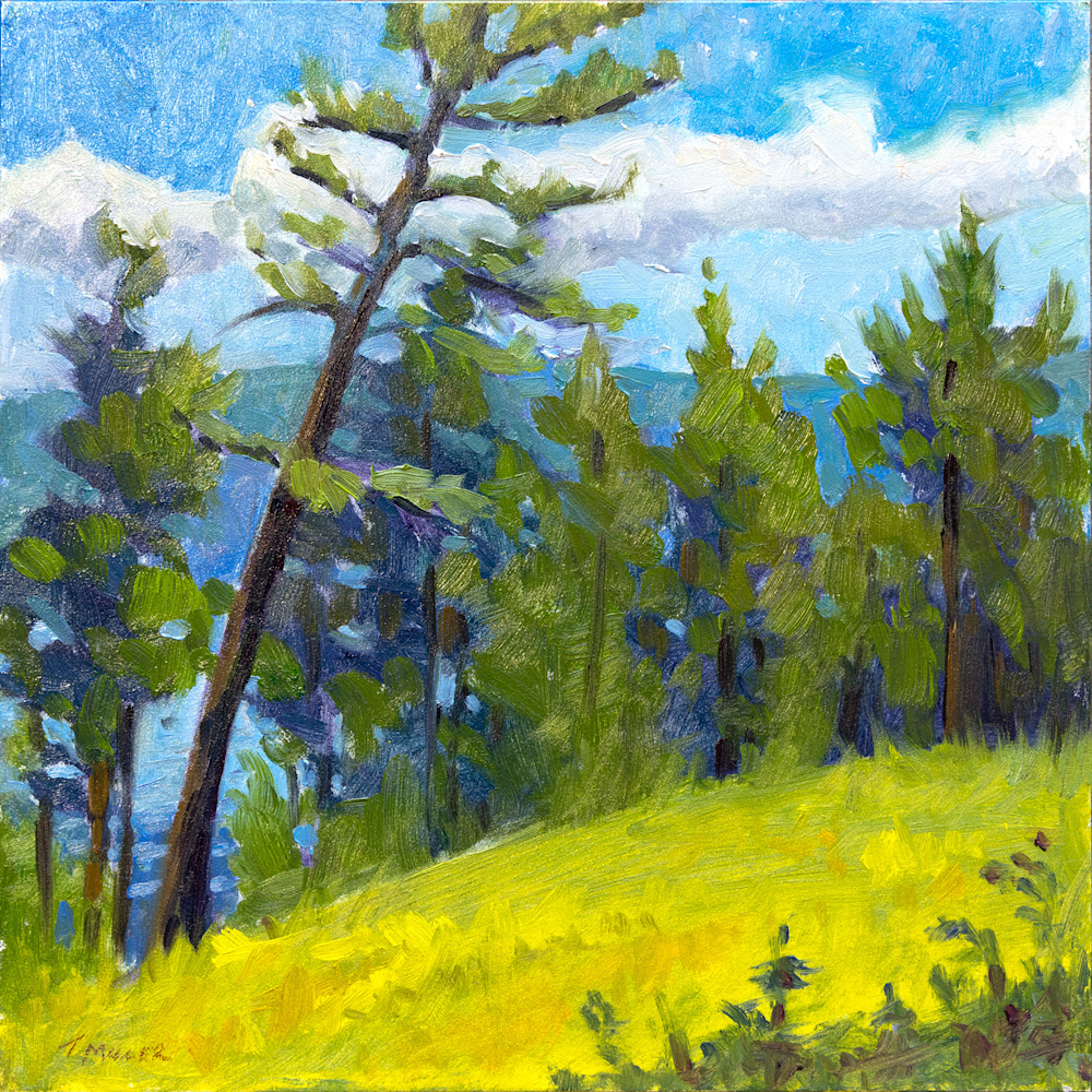 Kalamalka Lake Glimpse 8x8