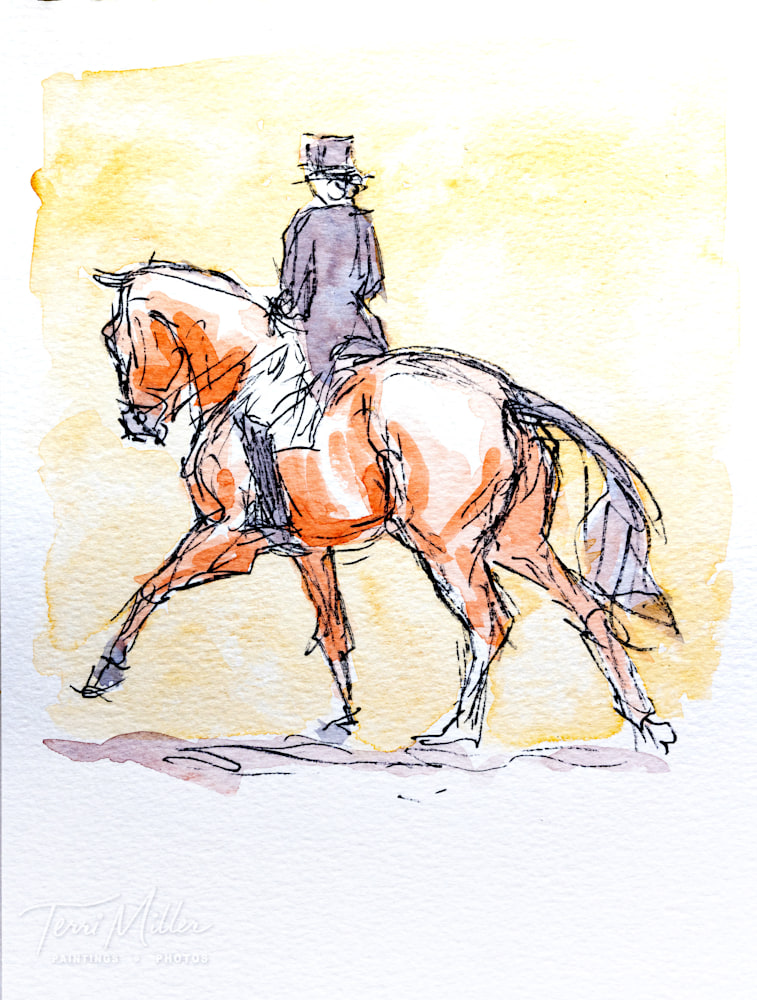 Extended Canter Top Hat
