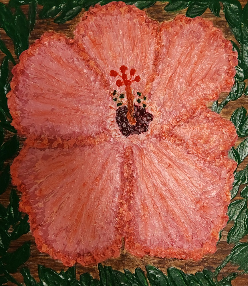 Peach Hibiscus (2)