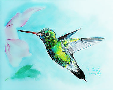 Hummingbird  Ai RR DD 347 prev