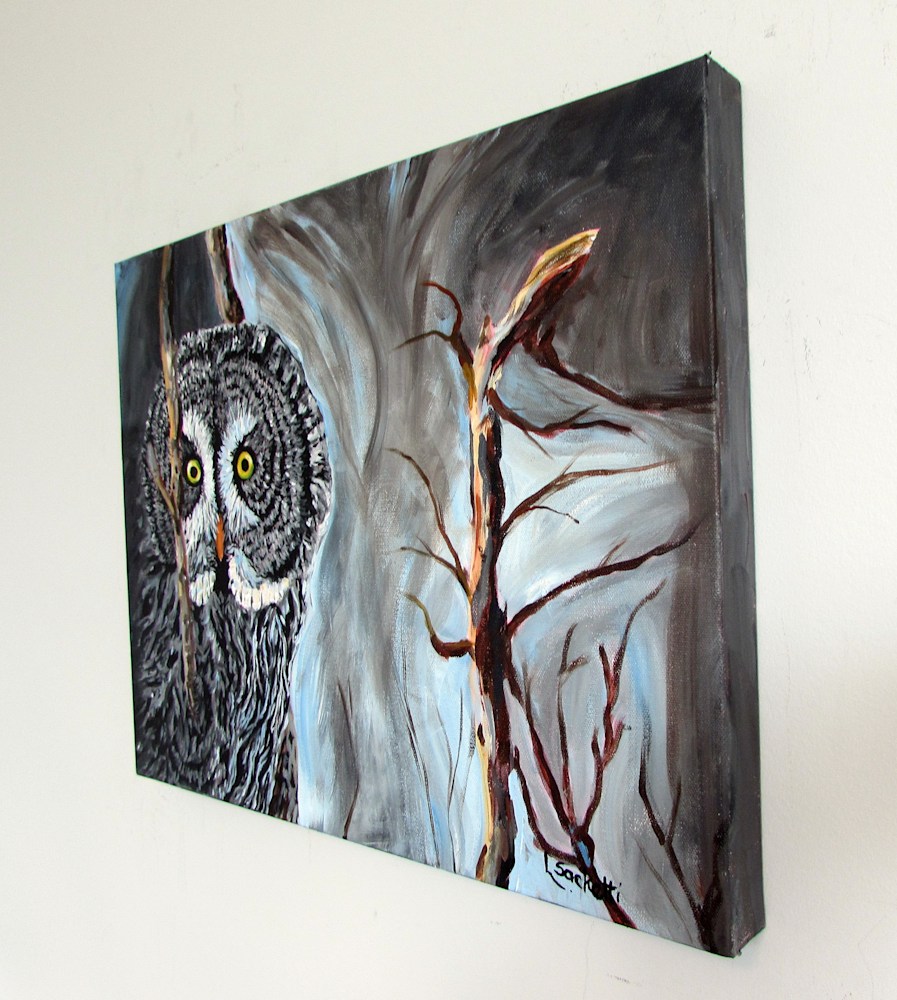 Great grey owl 2