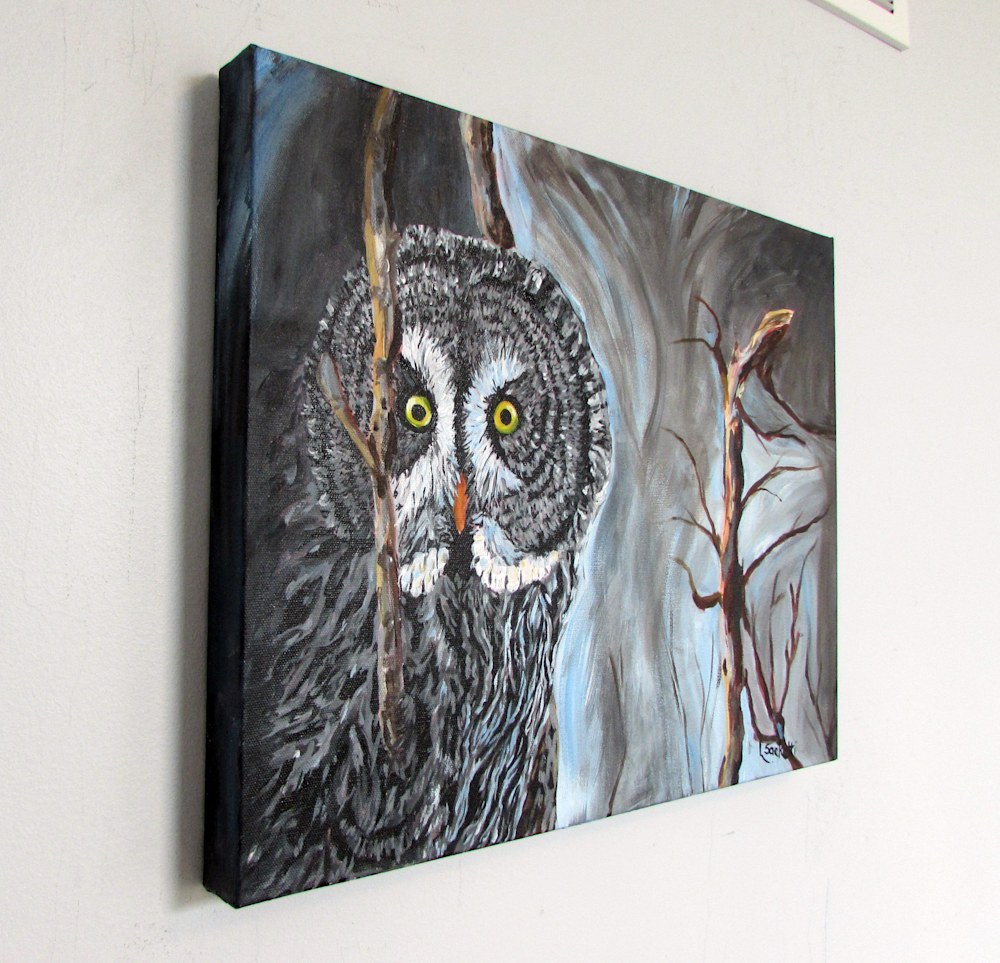 Great grey owl 1