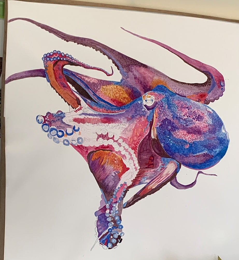 Octopus Progress 2