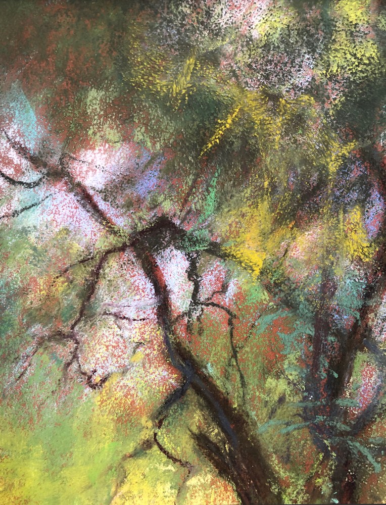 Enid Hill   Summer Tree21 Simone Maher