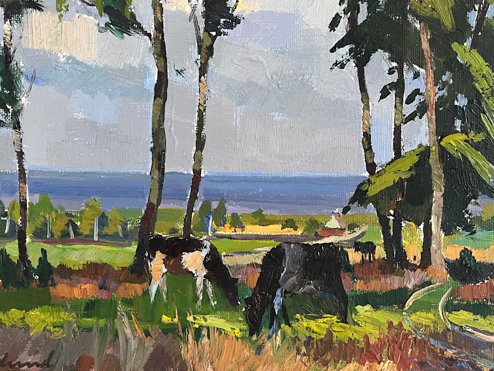 Swedish Cows Grazing18 Simone Maher