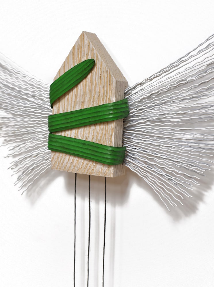 TFTH house detail whiter background 150 ppi