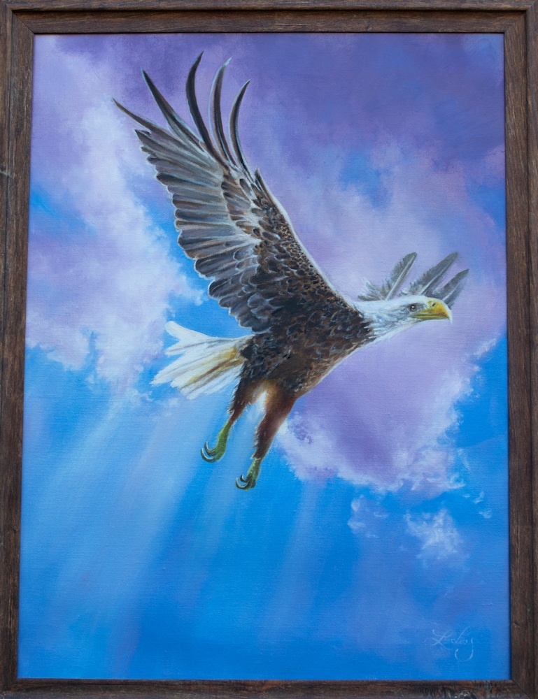 american eagle framed