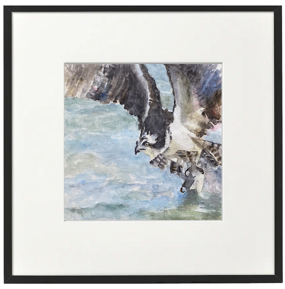 Osprey Catch framed blk