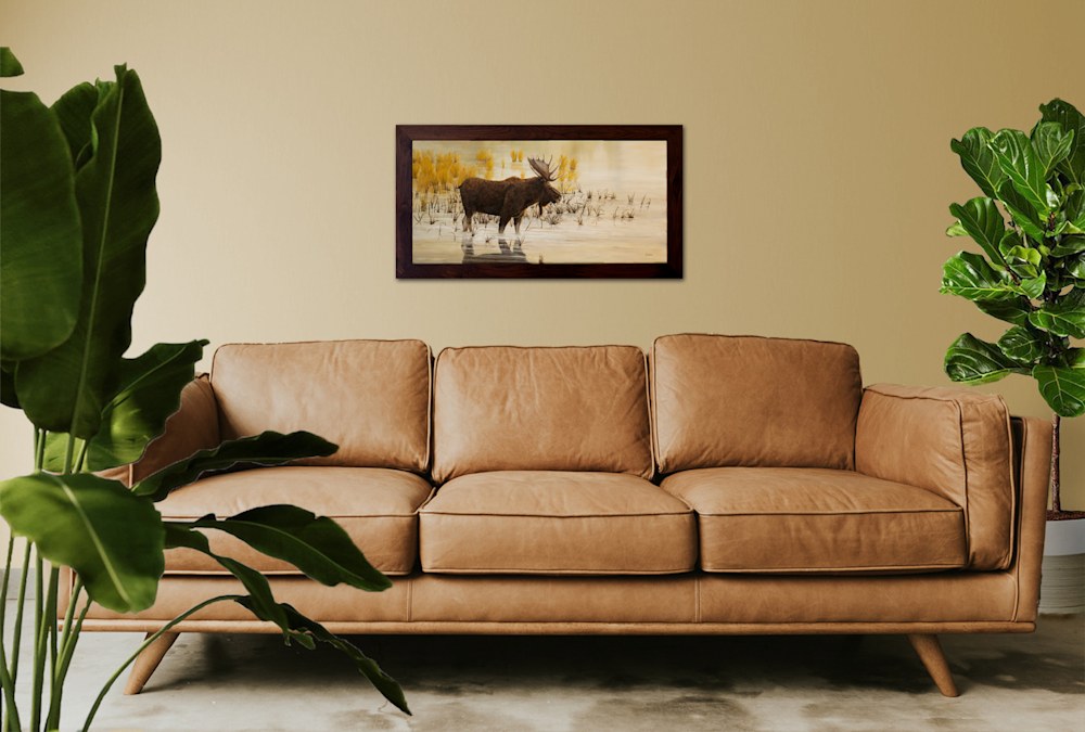 livingroom  plant with morning light moose