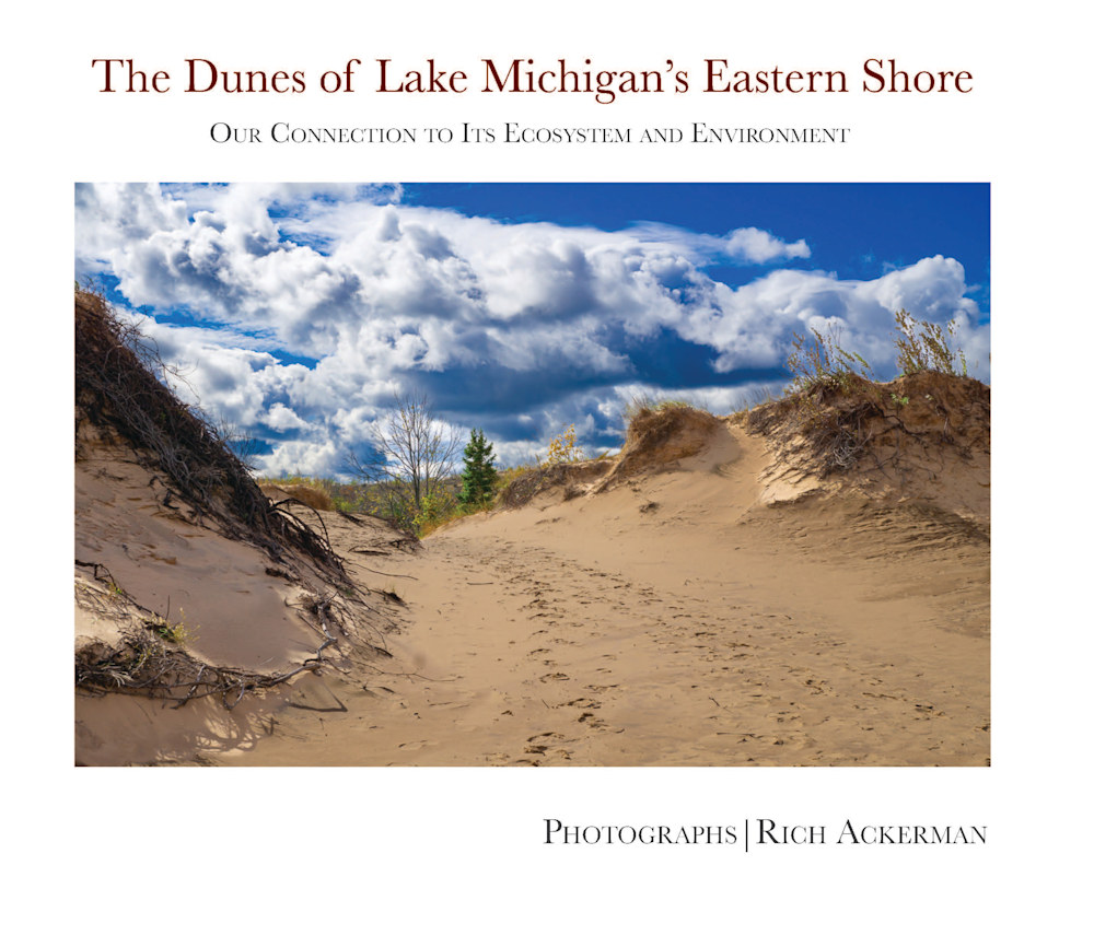 The Dunes of Lake Michigan's Eastern Shore 10 x 8 V6