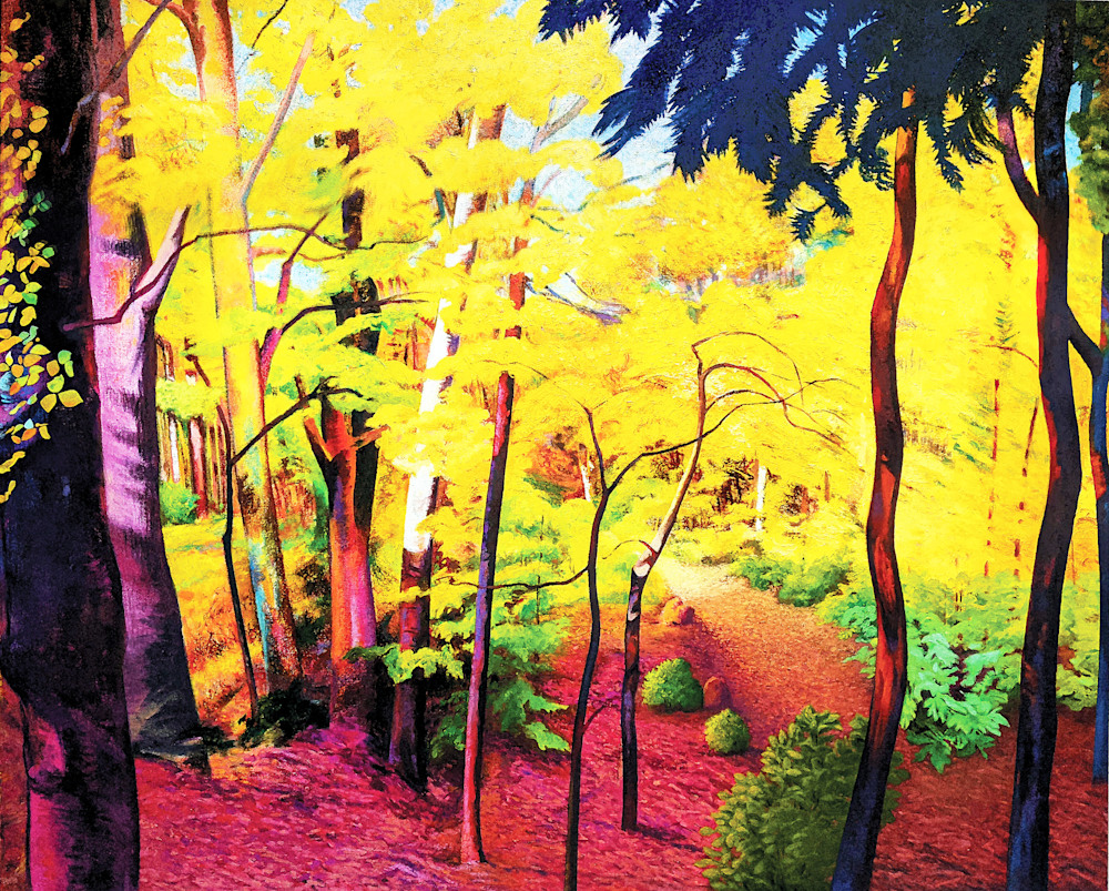 Through the Yellow Woods 12
