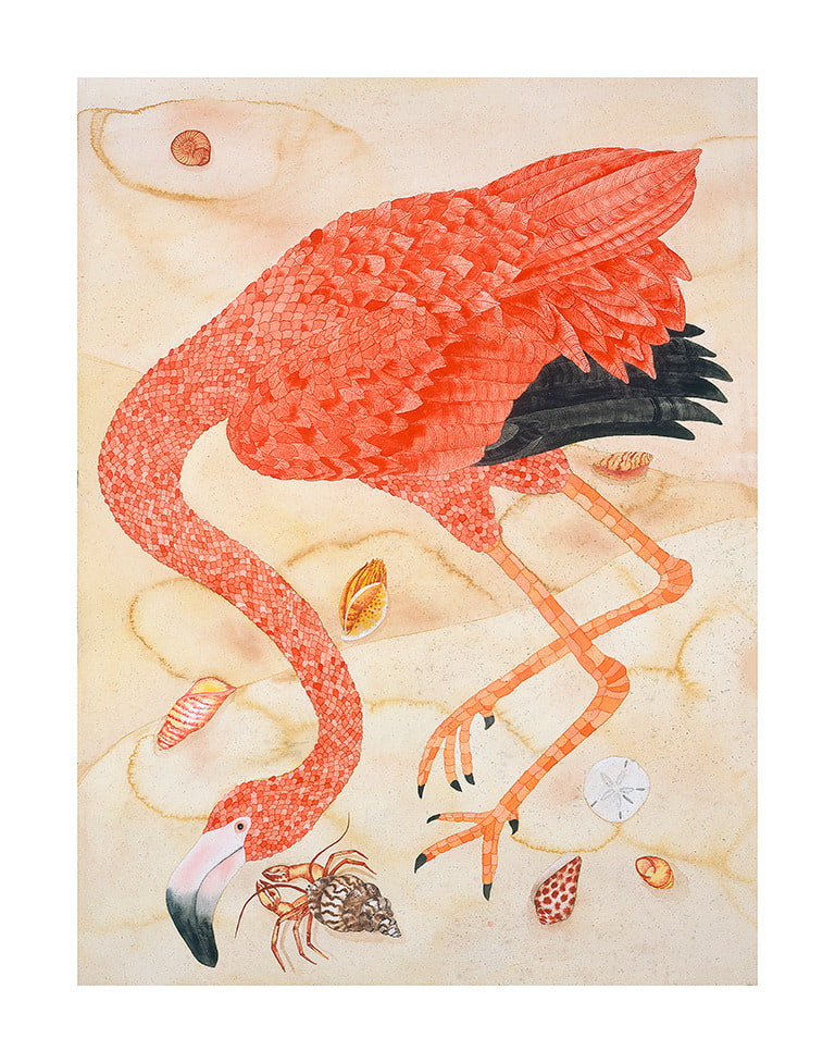 flamingo copy 2