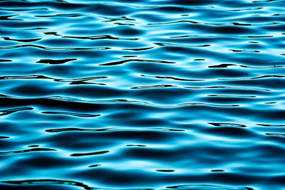 blue water 11