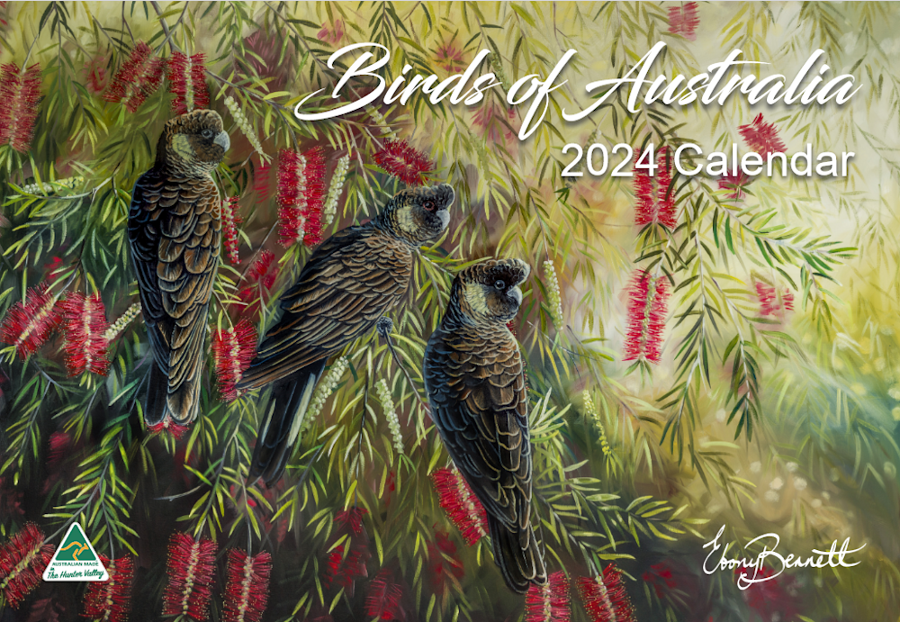 Birds of Australia Calendar 2024 Calendar