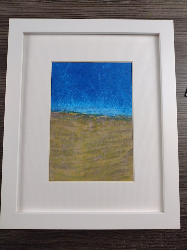 Too Many Trails framed