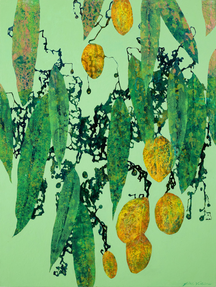 Vine Ripened Resized