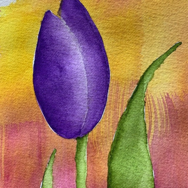Petals Tulip Original4