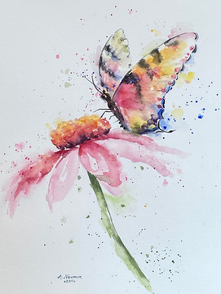 coneflower and butterfly