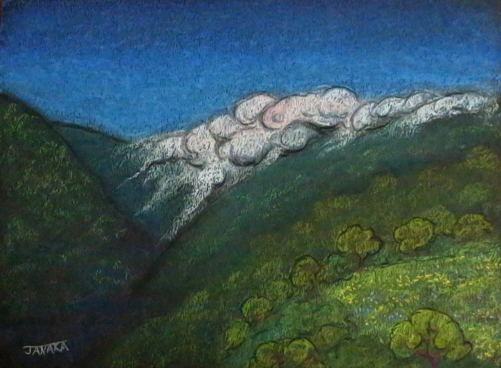 fog on the santa lucias12x9 2023