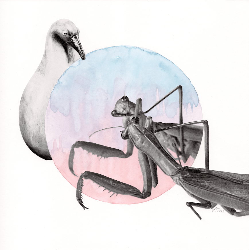 LittleWorlds Untitled Sm Mantismirror