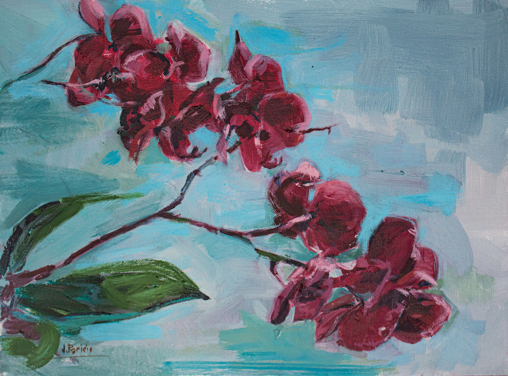 Jorge Paricio   Orchids I 12X16