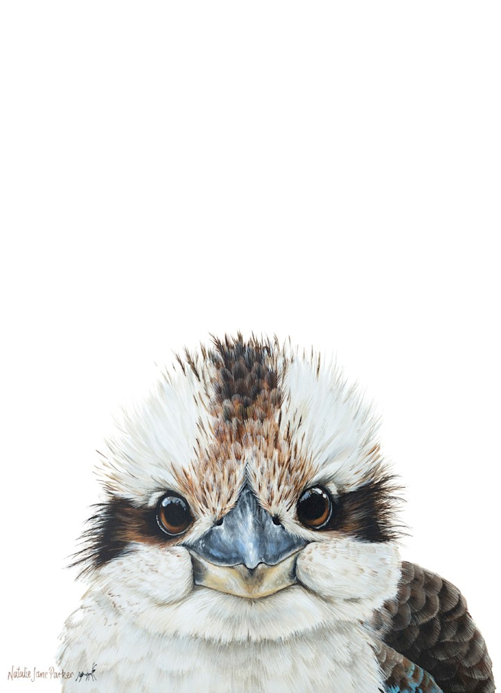 Kookaburra Kookaburra