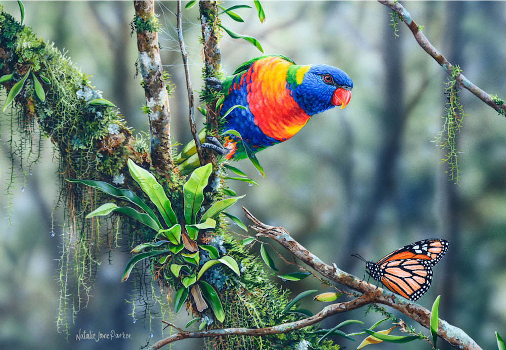 B105643 JLFAP   NJP 2024 Australian Wildlife Calendar   Landscape 340x235mm V21024 20