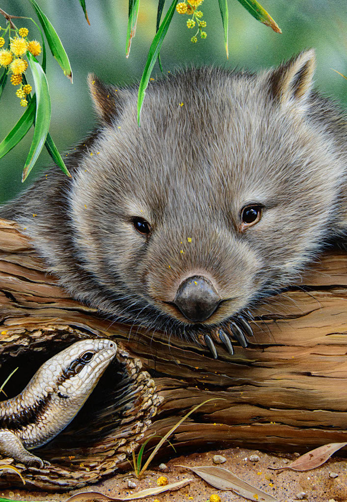 B105644 JLFAP   NJP 2024 Australian Wildlife Calendar   Portrait 340x235mm V31024 8