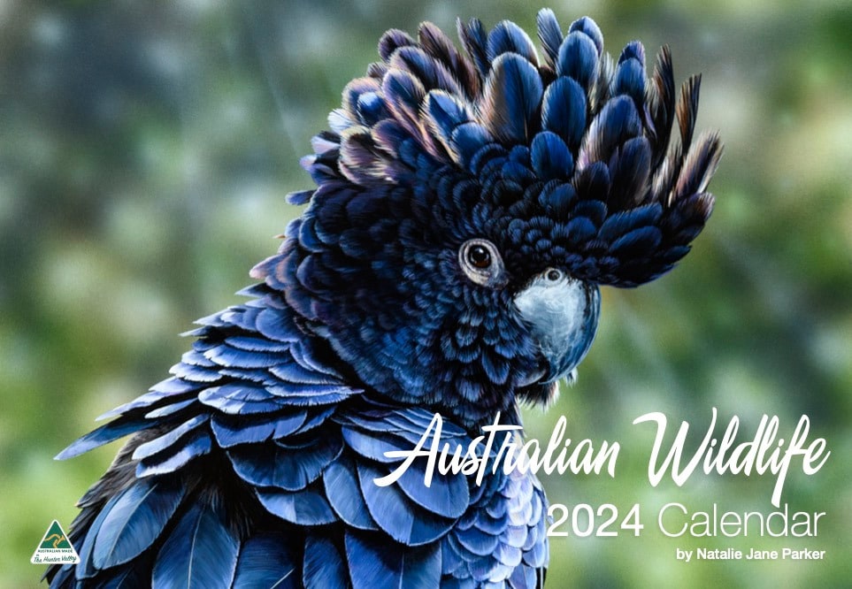 Australian Wildlife 2024 Wall Calendar Collection Australian Wildlife