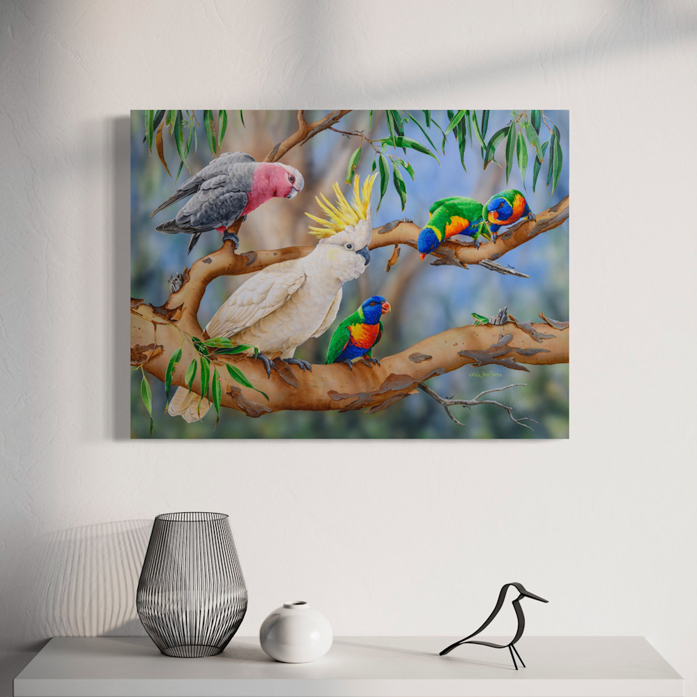 Australian Wildlife Art - Colourful Crowd (Galahs with Sulphur-crested ...