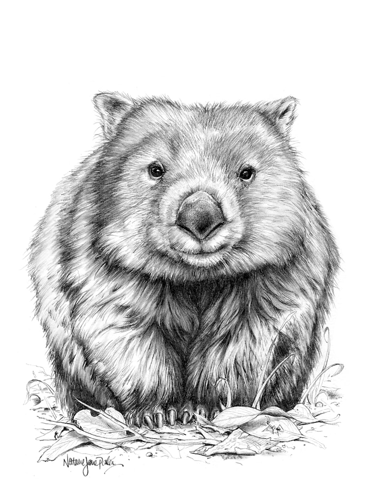 One Little Wombat   12x16in