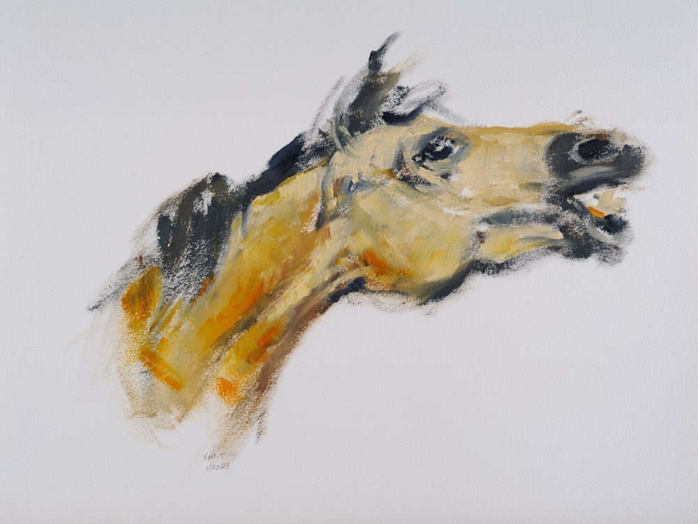 Horse Head Sketch in Oil